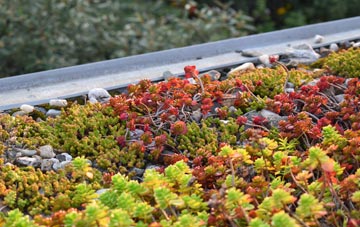 the cost of Oddington green roof installation