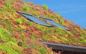 Oddington living roof systems